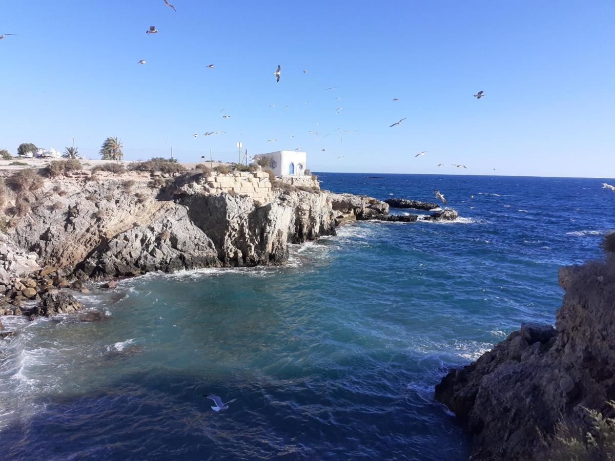 Apartamento Santa Pola, En Playa Del Tamarit Con Piscina. المظهر الخارجي الصورة
