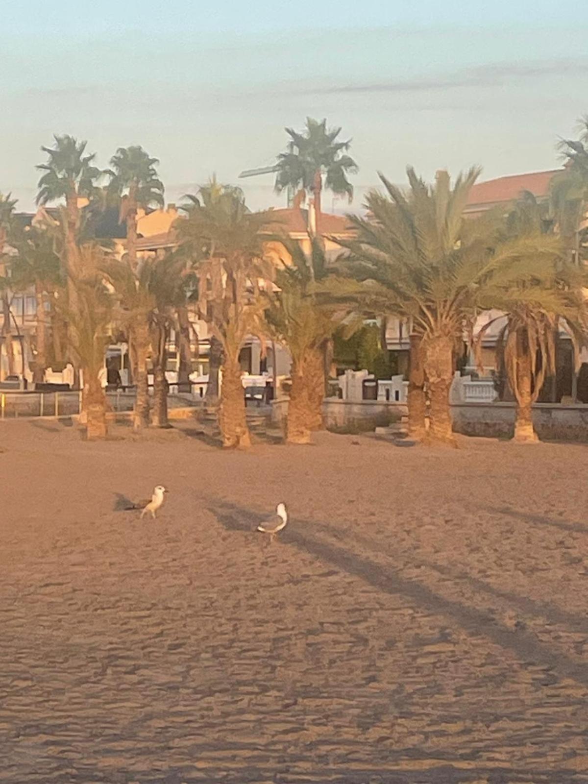 Apartamento Santa Pola, En Playa Del Tamarit Con Piscina. المظهر الخارجي الصورة